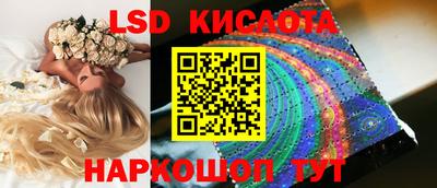 скорость Кингисепп