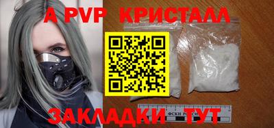 скорость Кингисепп