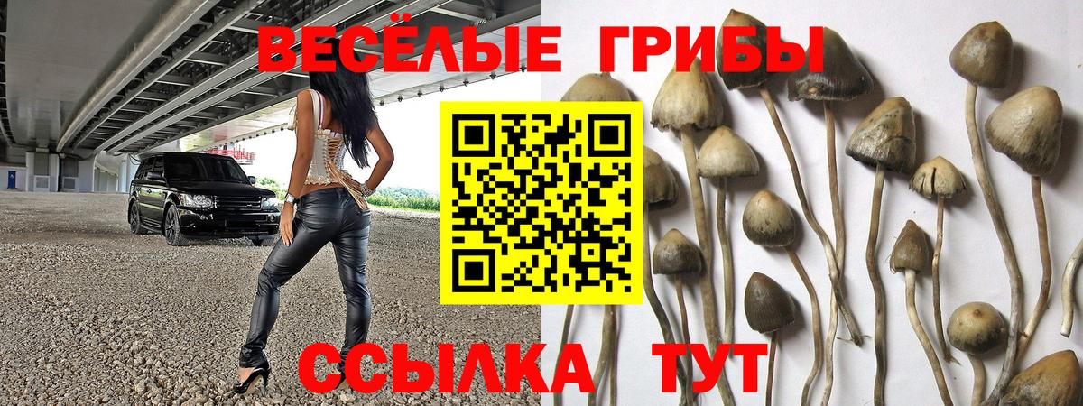 Комсомольск-на-Амуре  Галлюциногенные грибы Psilocybe  Галлюциногенные грибы Psilocybine cubensis  Вход с VPN 